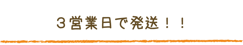 ポイント6 ３営業日で発送！
